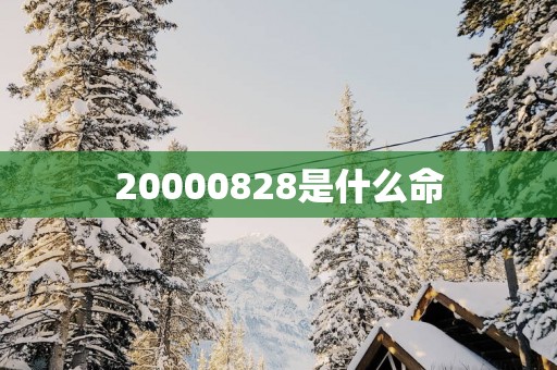 20000828是什么命