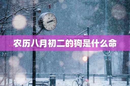 农历八月初二的狗是什么命