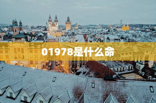 01978是什么命