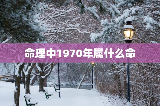 命理中1970年属什么命