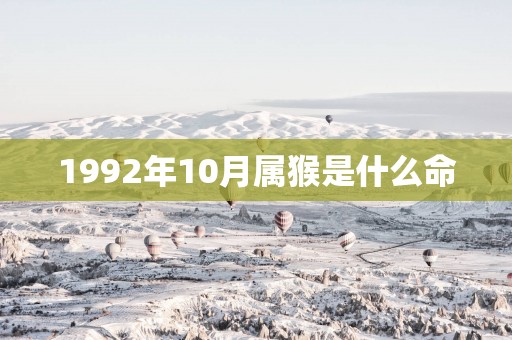 1992年10月属猴是什么命
