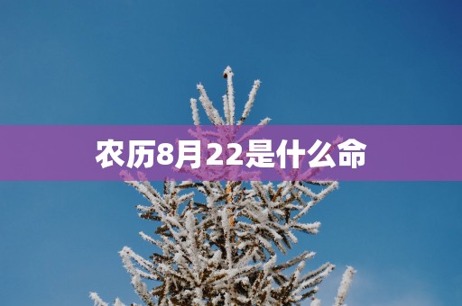 农历8月22是什么命
