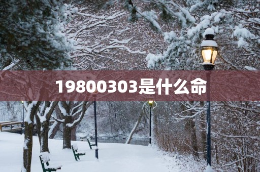 19800303是什么命