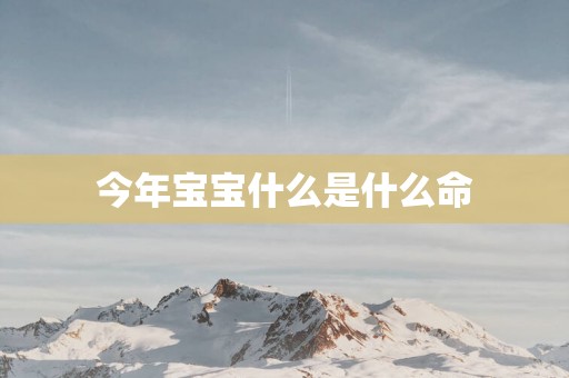 今年宝宝什么是什么命