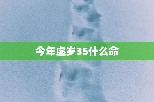 今年虚岁35什么命