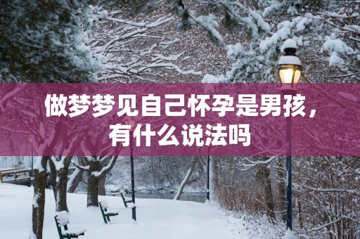 做梦梦见自己怀孕是男孩，有什么说法吗