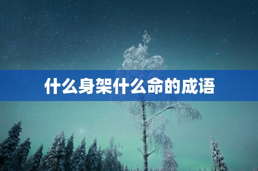 什么身架什么命的成语