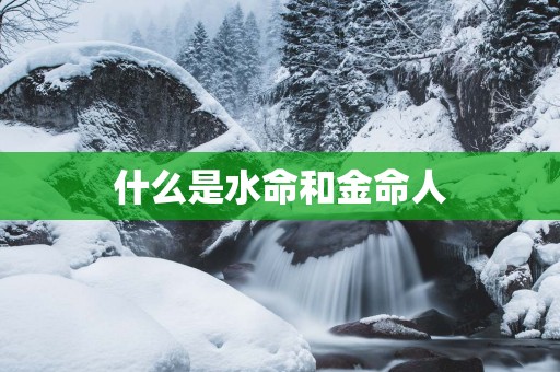 什么是水命和金命人
