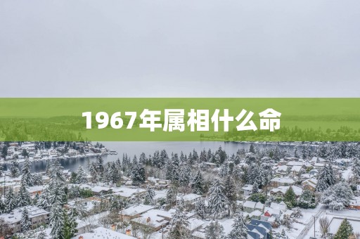 1967年属相什么命
