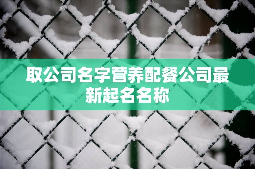 取公司名字营养配餐公司最新起名名称