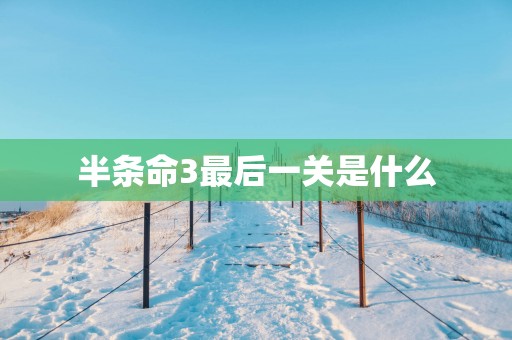 半条命3最后一关是什么
