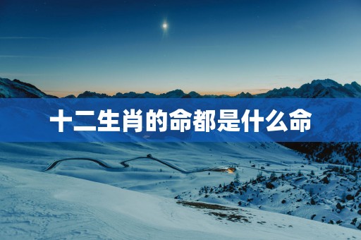 十二生肖的命都是什么命