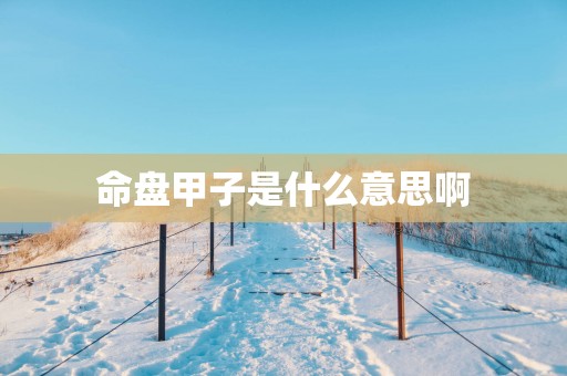 命盘甲子是什么意思啊