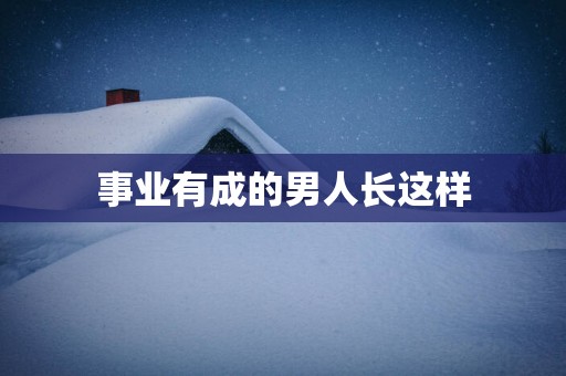事业有成的男人长这样