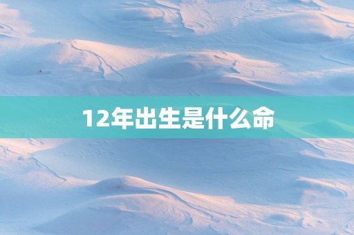 12年出生是什么命