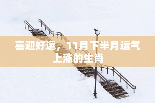 喜迎好运，11月下半月运气上涨的生肖