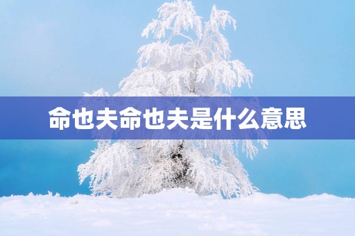 命也夫命也夫是什么意思