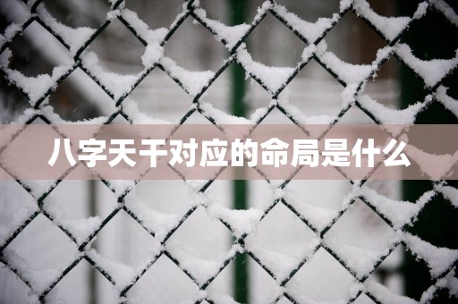 八字天干对应的命局是什么