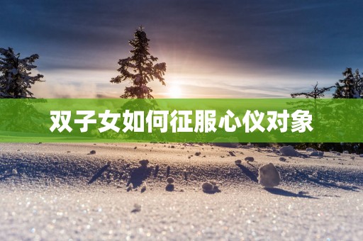 双子女如何征服心仪对象