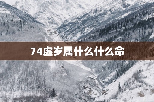 74虚岁属什么什么命