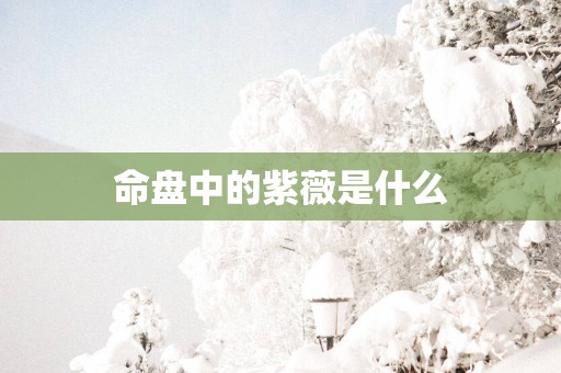 命盘中的紫薇是什么