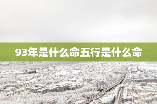 93年是什么命五行是什么命