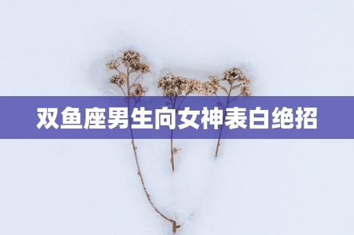 双鱼座男生向女神表白绝招