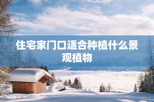 住宅家门口适合种植什么景观植物