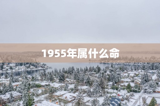 1955年属什么命