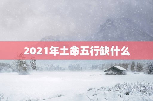 2025年土命五行缺什么