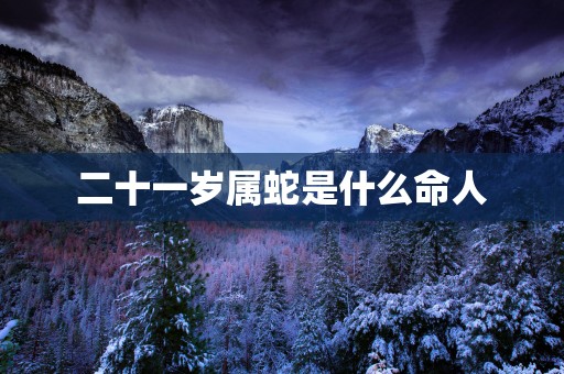 二十一岁属蛇是什么命人