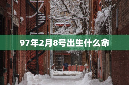 97年2月8号出生什么命