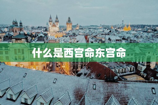 什么是西宫命东宫命