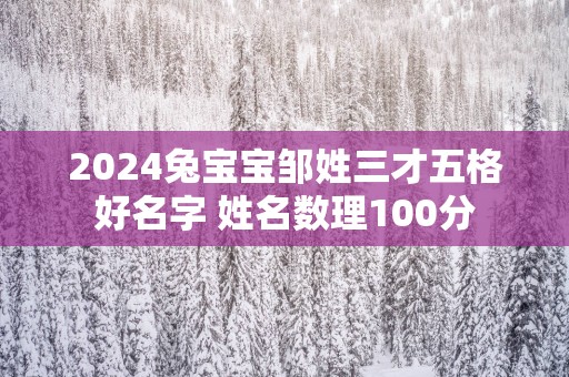 2025兔宝宝邹姓三才五格好名字 姓名数理100分
