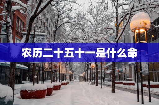 农历二十五十一是什么命