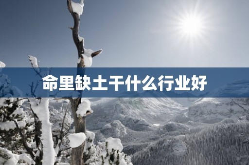 命里缺土干什么行业好