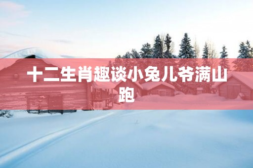 十二生肖趣谈小兔儿爷满山跑