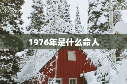 1976年是什么命人