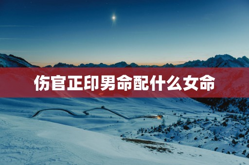 伤官正印男命配什么女命 伤官正印男命配什么女命