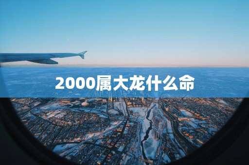 2000属大龙什么命