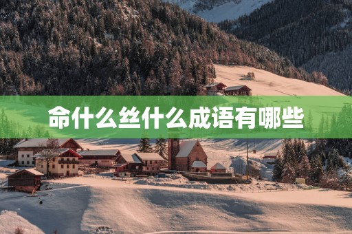 命什么丝什么成语有哪些