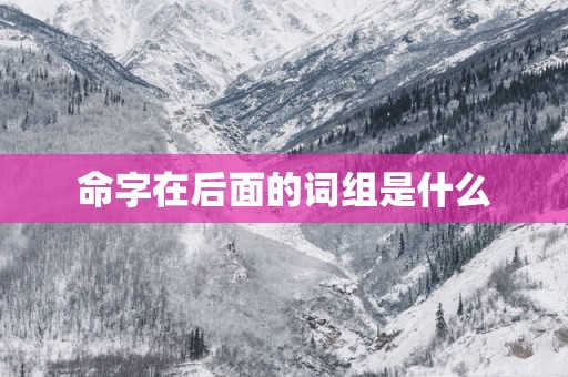 命字在后面的词组是什么