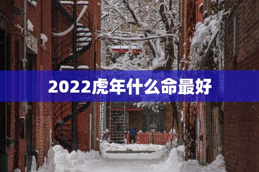 2025蛇年什么命最好