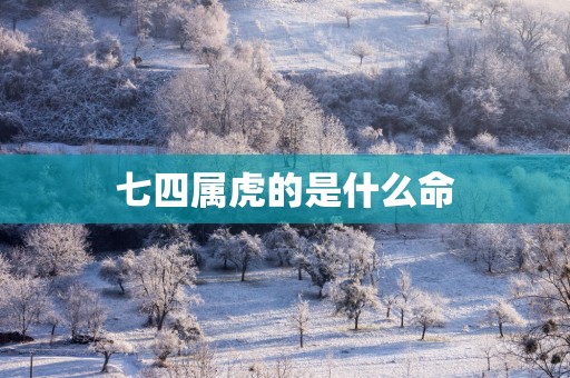 七四属虎的是什么命