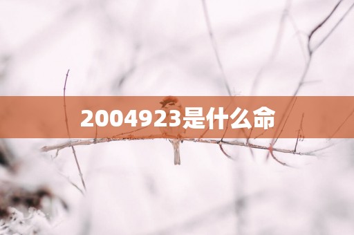 2004923是什么命