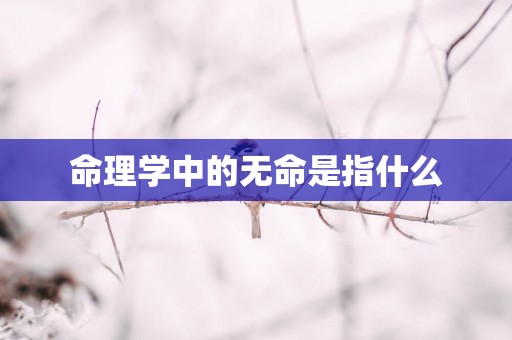 命理学中的无命是指什么