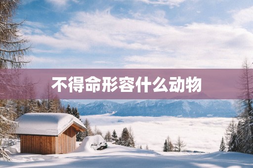 不得命形容什么动物