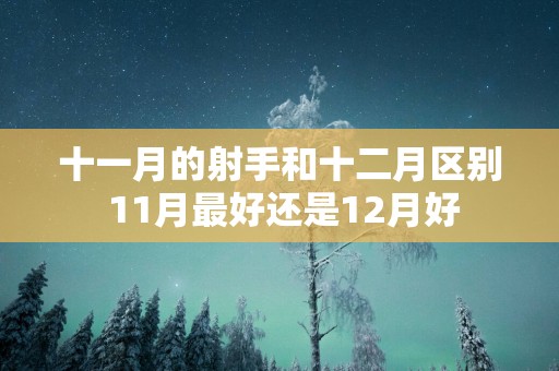 十一月的射手和十二月区别 11月最好还是12月好