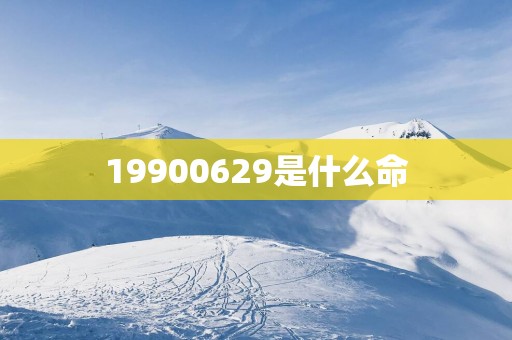 19900629是什么命