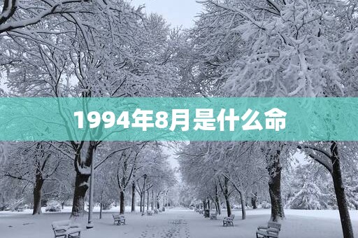 1994年8月是什么命